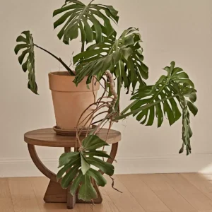 طاولة وسط خشب طبيعي