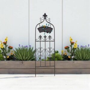 ديكورات المنزل